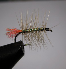 ���� ������ PLM 010 sand - peacock  # 10